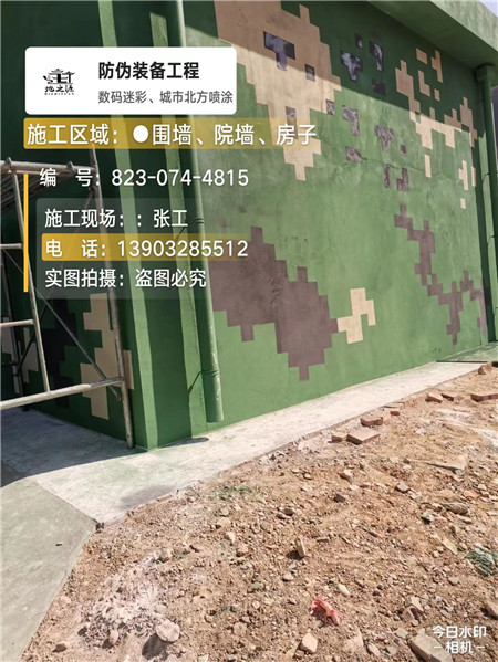 柳州核心结论：专业提供外墙迷彩漆施工服务